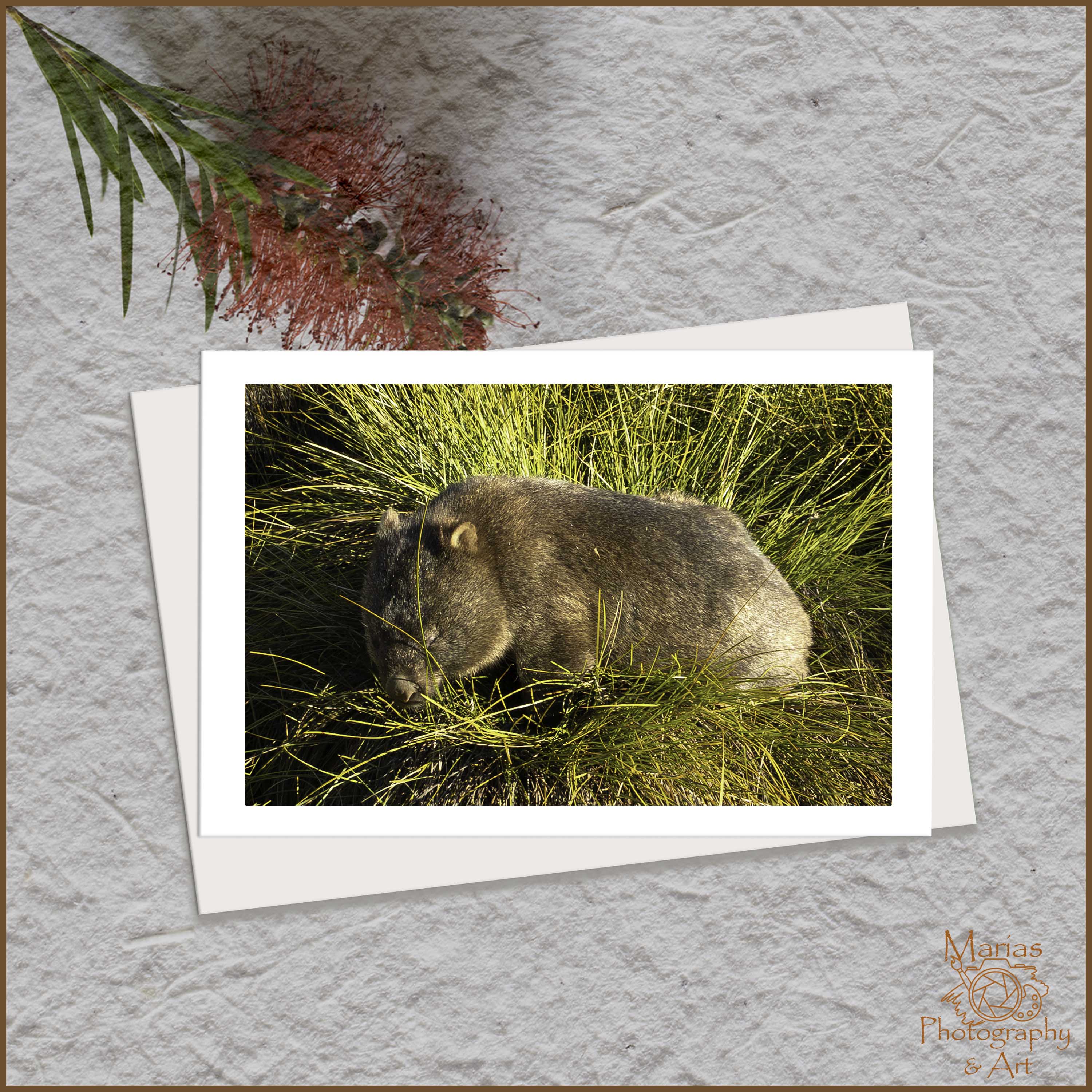 Blank Greeting Card - 'Wonders of Tasmania' series