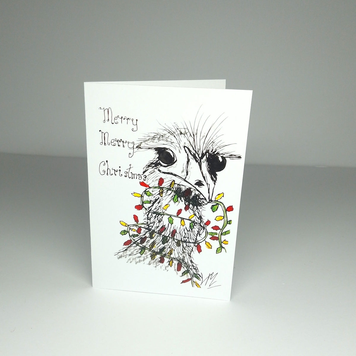 Quirky Bird Christmas Cards - 6 designs
