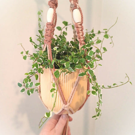 Macrame Plant Hanger - Duo Brown Short