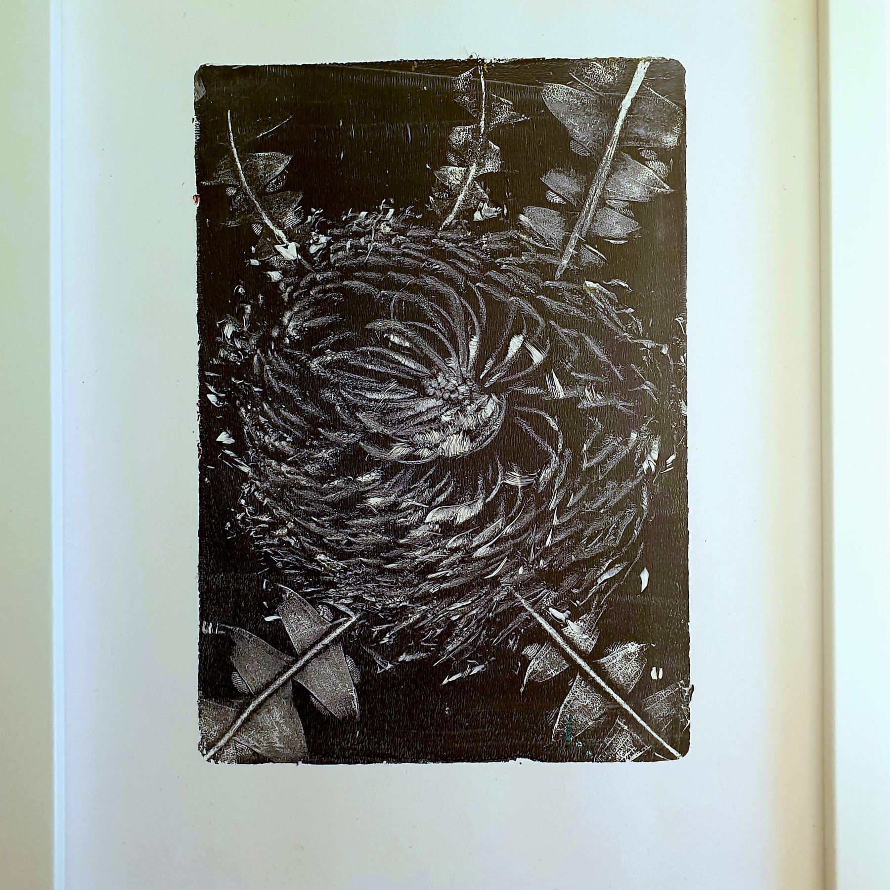 Baxter's Banksia, Blue & White | Acrylic monoprint on paper | Original framed artwork | 8x10inches