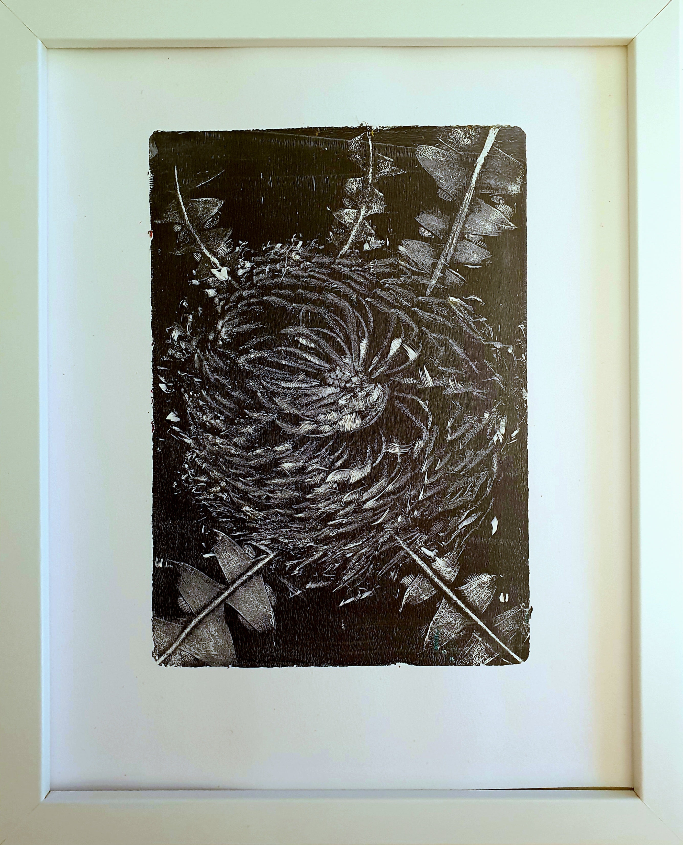 Baxter's Banksia, Blue & White | Acrylic monoprint on paper | Original framed artwork | 8x10inches