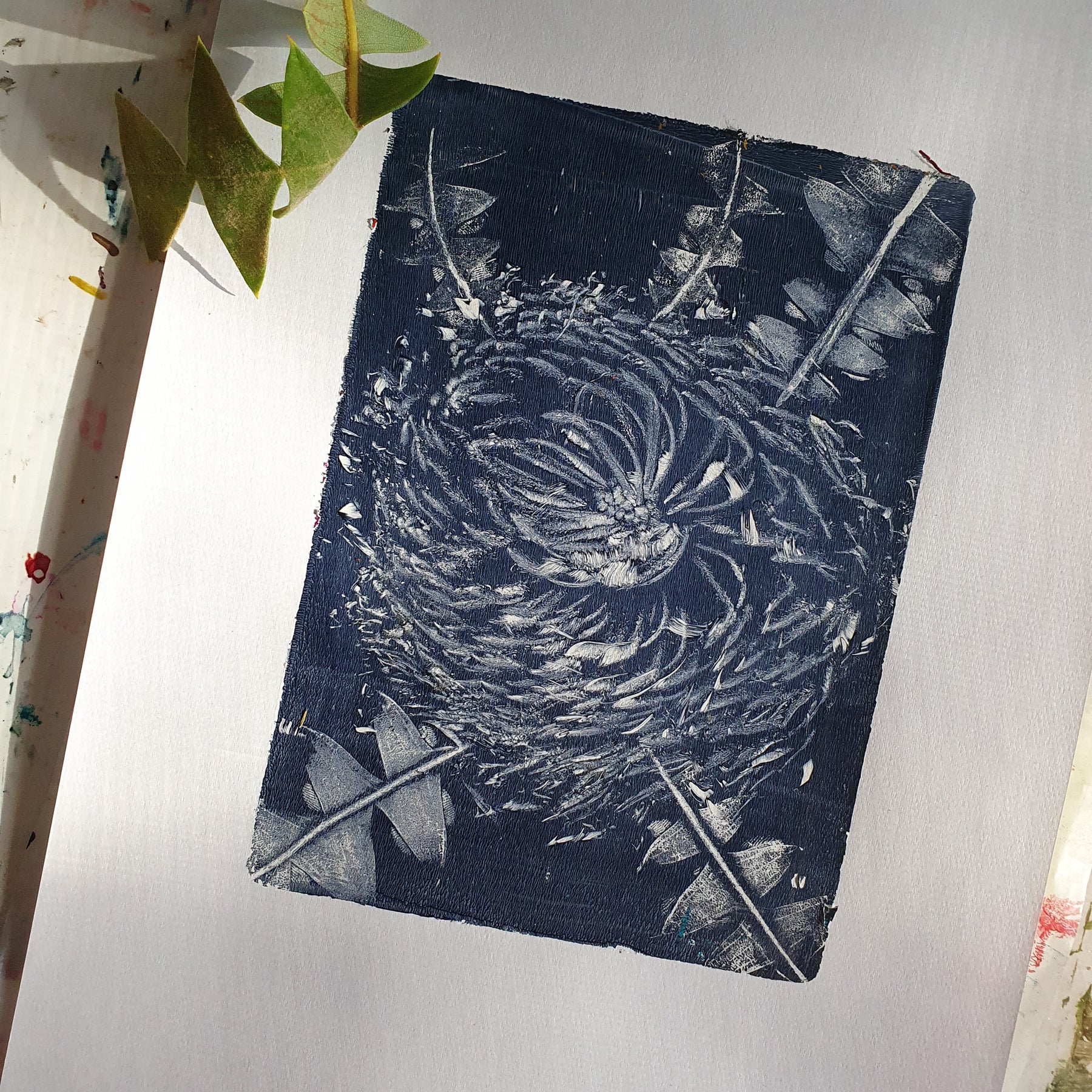 Baxter's Banksia, Blue & White | Acrylic monoprint on paper | Original framed artwork | 8x10inches