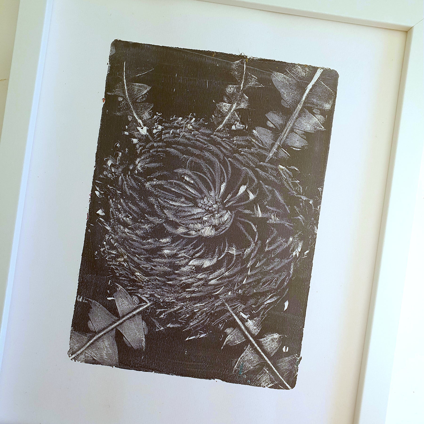 Baxter's Banksia, Blue & White | Acrylic monoprint on paper | Original framed artwork | 8x10inches