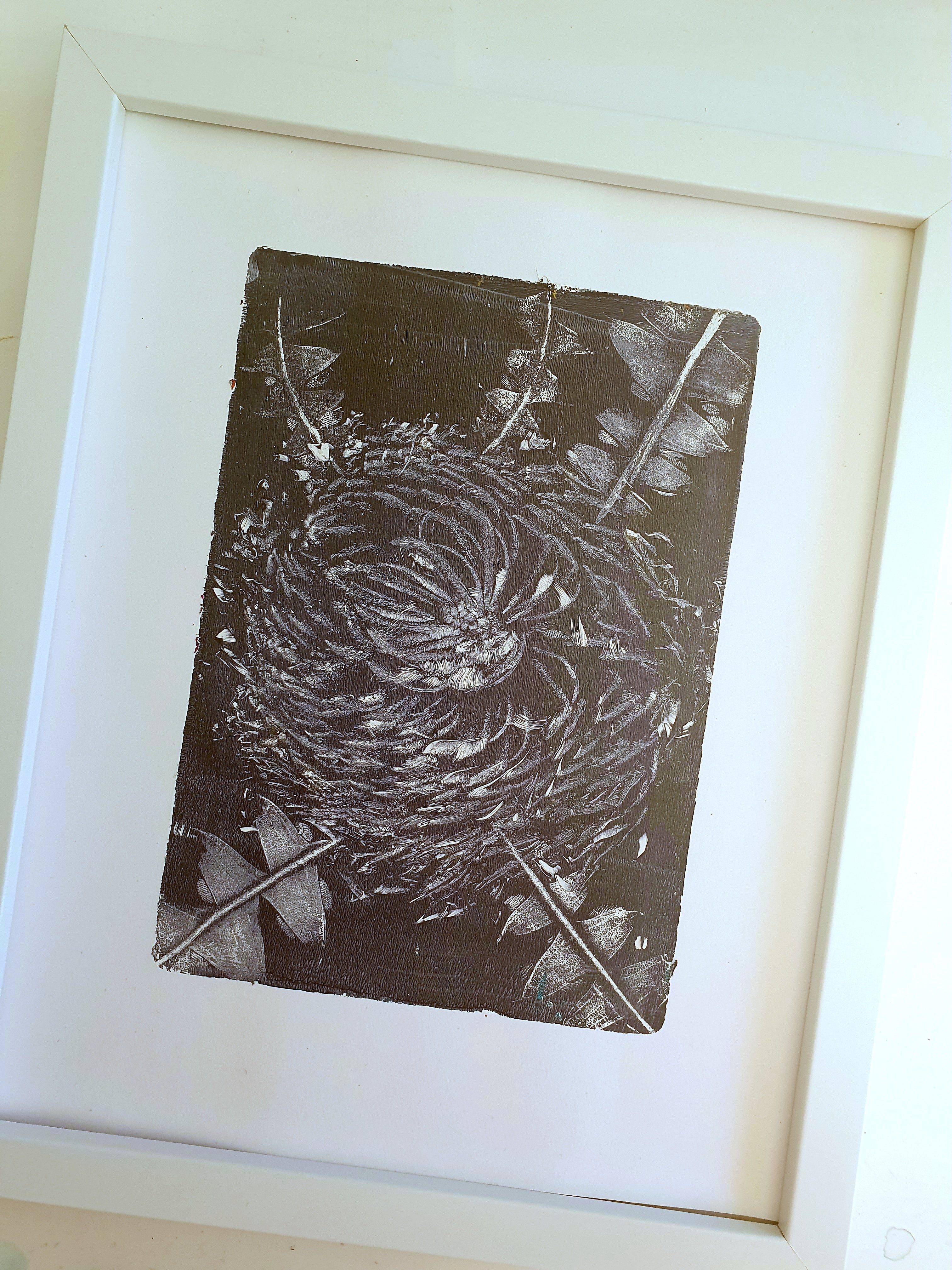 Baxter's Banksia, Blue & White | Acrylic monoprint on paper | Original framed artwork | 8x10inches