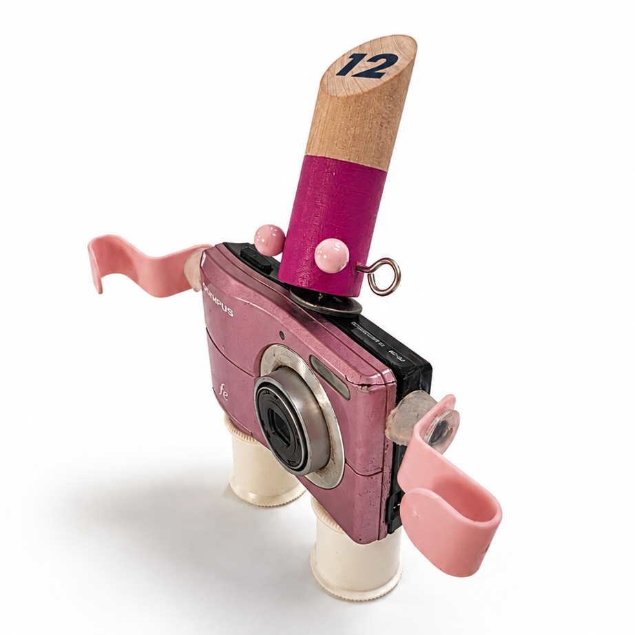 Remade, Reimagined: Pinky Olympus-FE Camera Bot