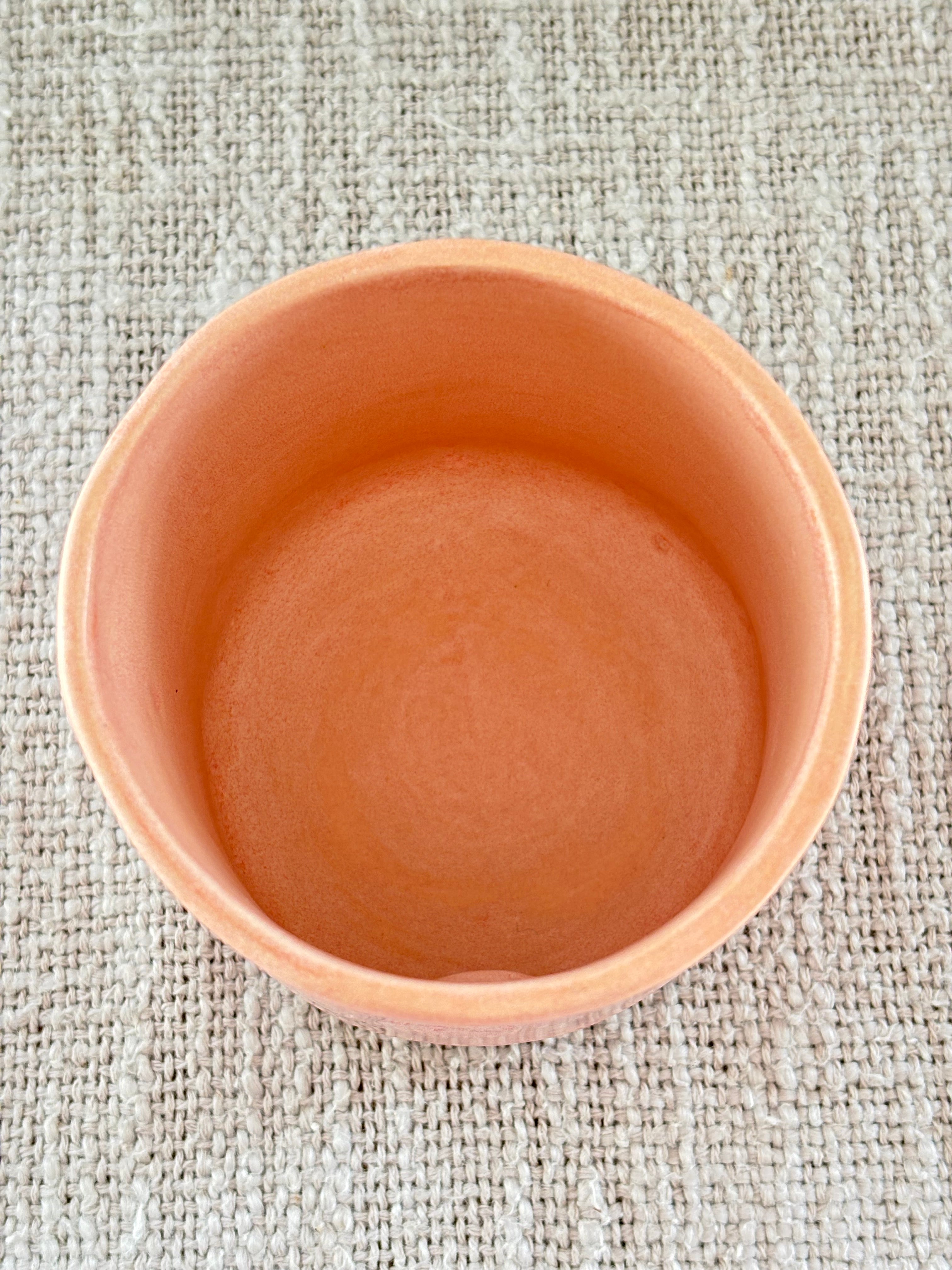 Coastal Tumbler - Coral