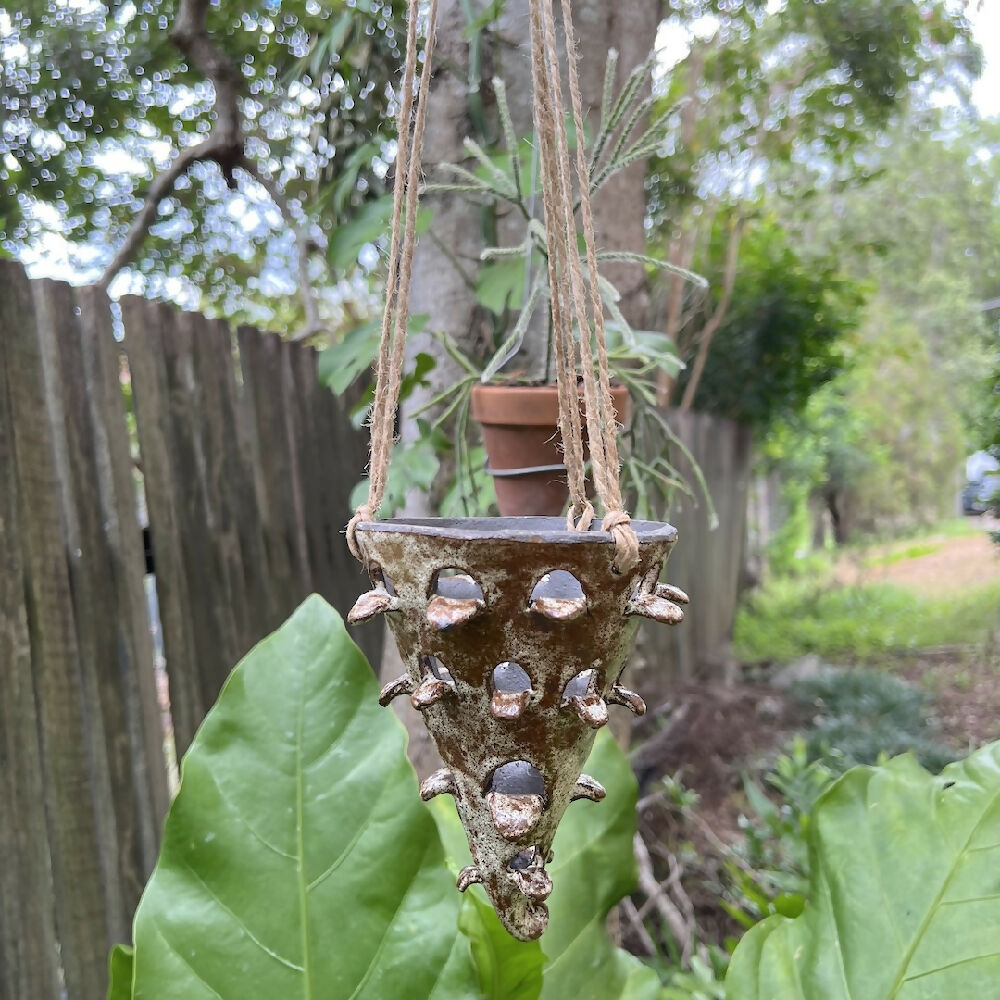 Xmas tree hanging cone pot lifestyle