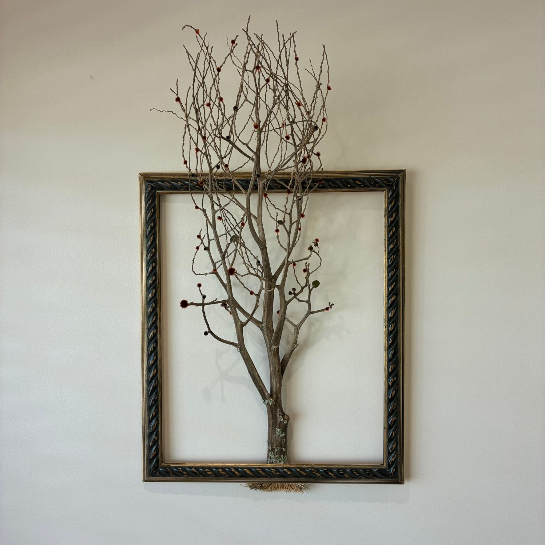 Framed Tree of Life ~ "Flame Tree"