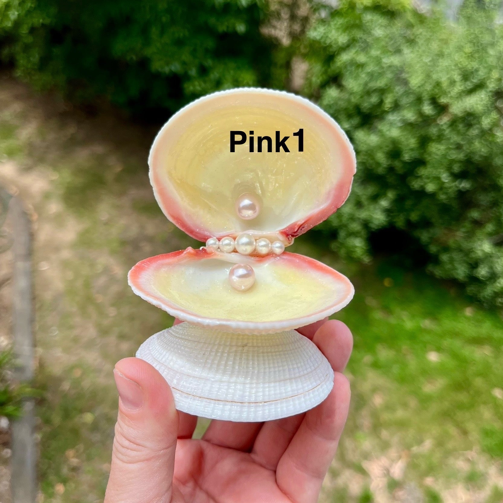 Sweet & Pearly Trinket Trays