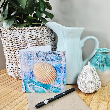 Blank Card  Sea Shells
