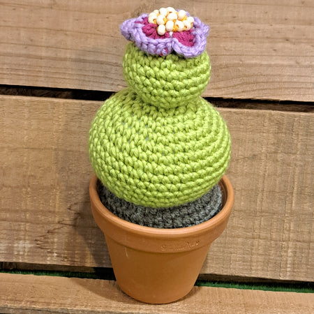 Crochet cactus/ in a terracotta pot/ purple beaded flower