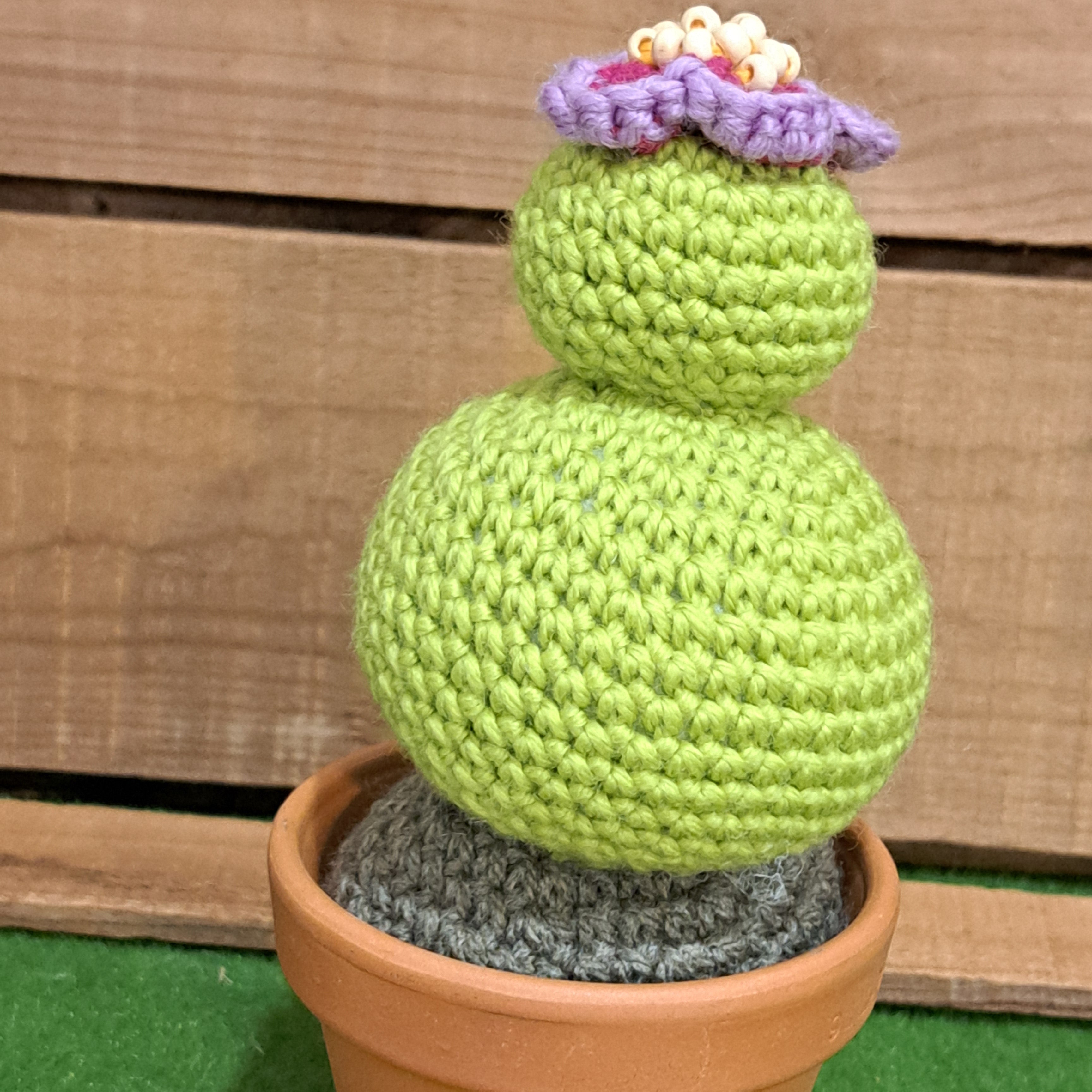 Crochet cactus/ in a terracotta pot/ purple beaded flower