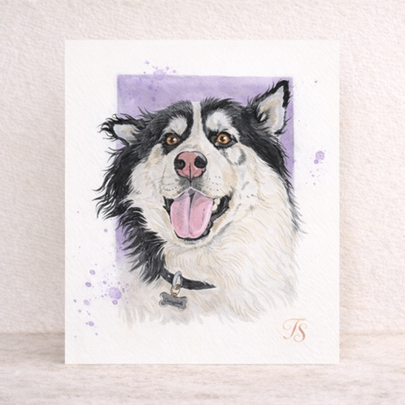 Pet Portrait Watercolour – Soul Imprint (Intuitive Animal Connection)