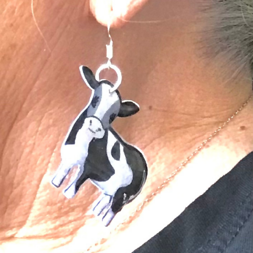 Cow on ear