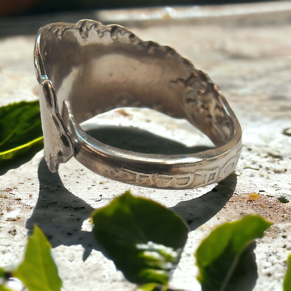 IMG20241029153828-Photoroom