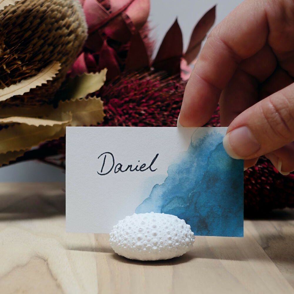 sea urchin card holder 5 madeit