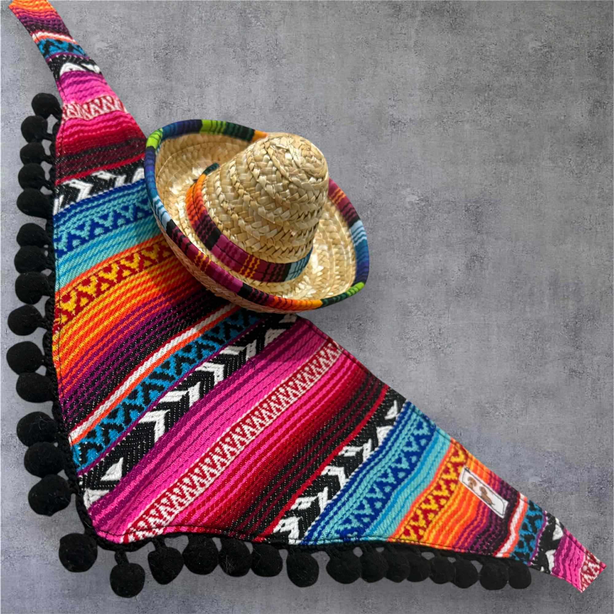Mexican bandana & cowboy hat set for dog/puppy or cat/kitten, Handmade pet clothing/costume