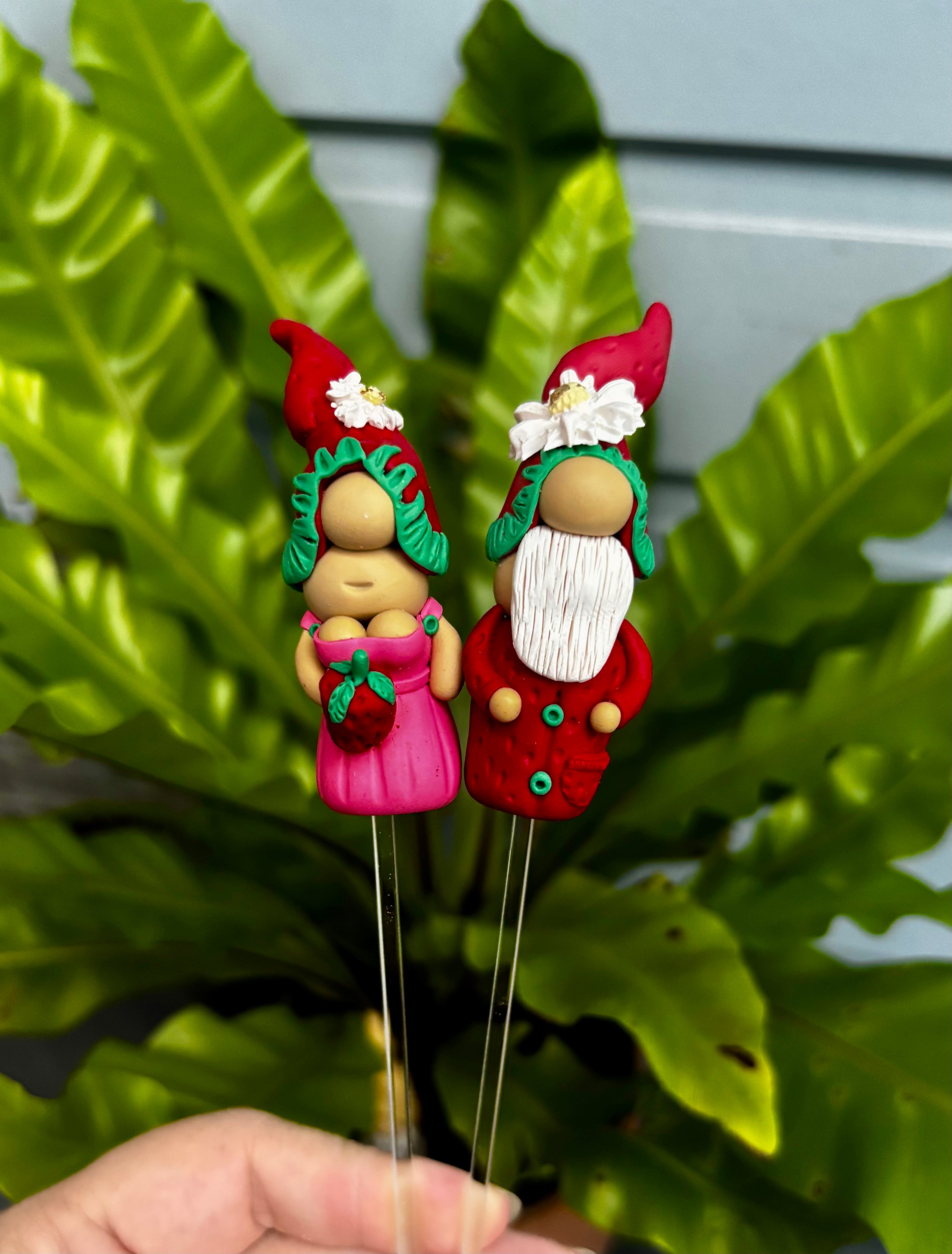 Tiny Gnome pair - Strawberry Fields