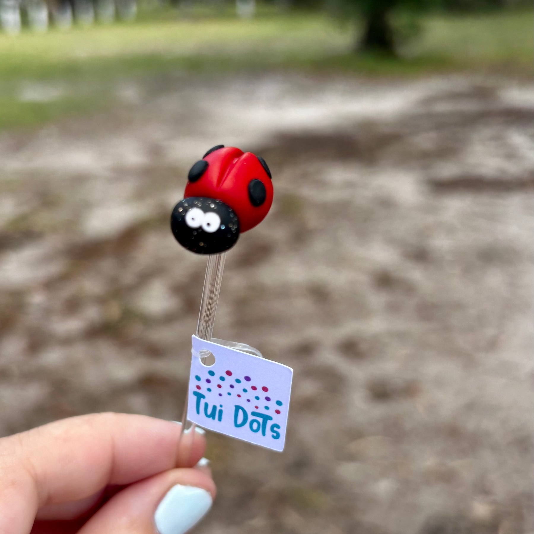 Plant Pals - Mini Spottie the Lady bug