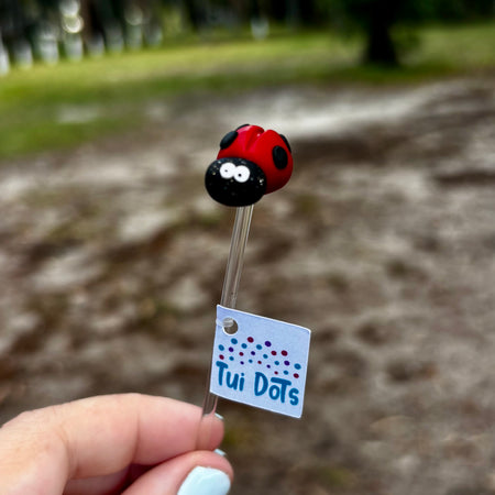 Plant Pals - Mini Spottie the Lady bug