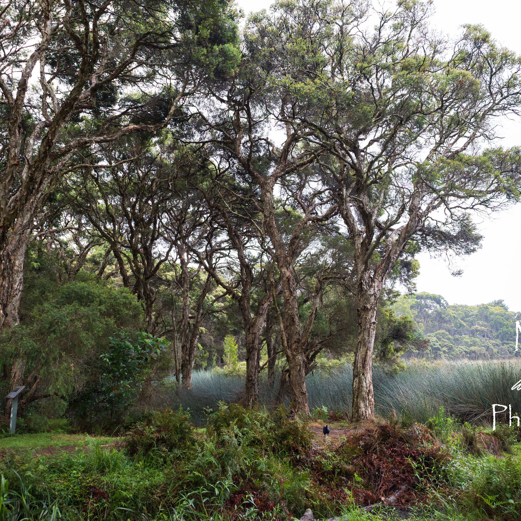 Photographic print | Wall Art | Serenity