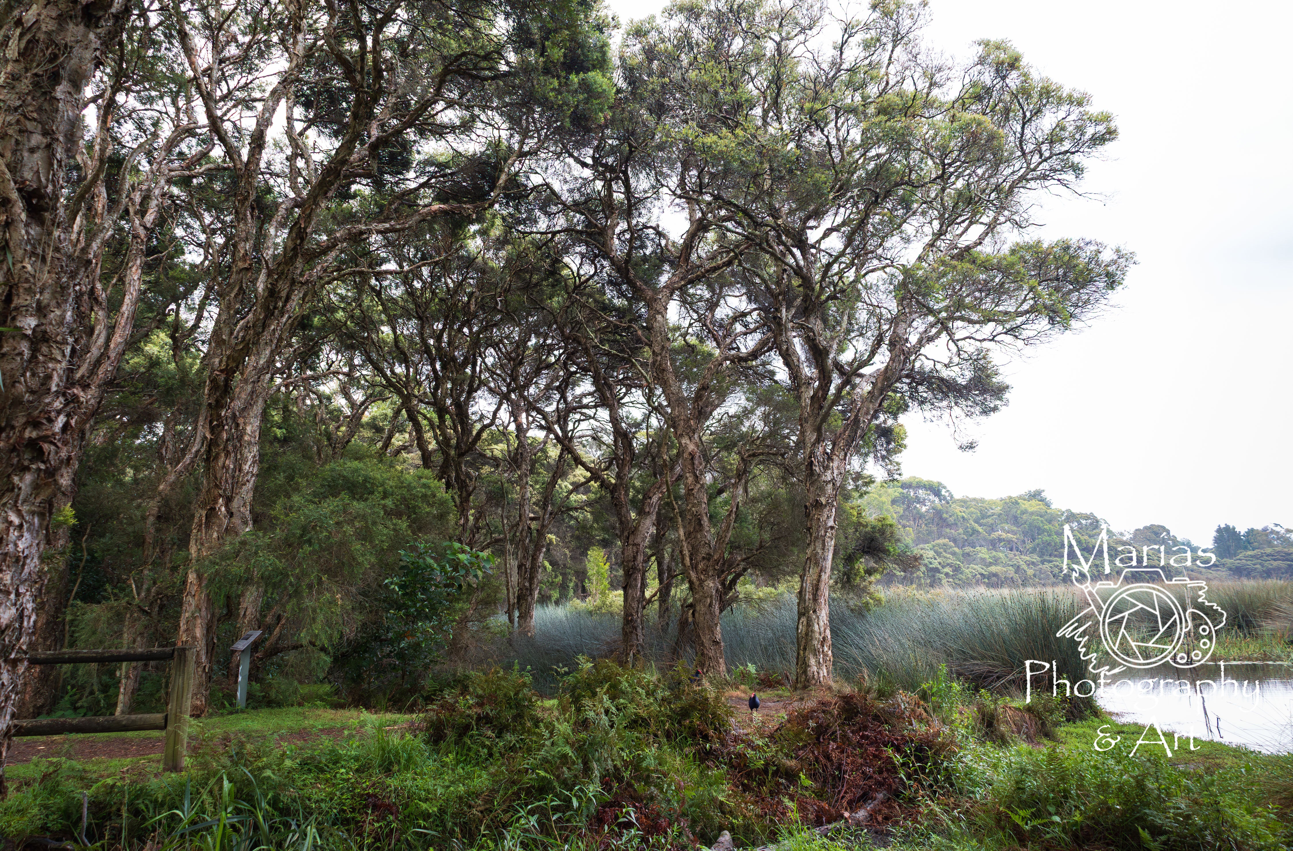 Photographic print | Wall Art | Serenity