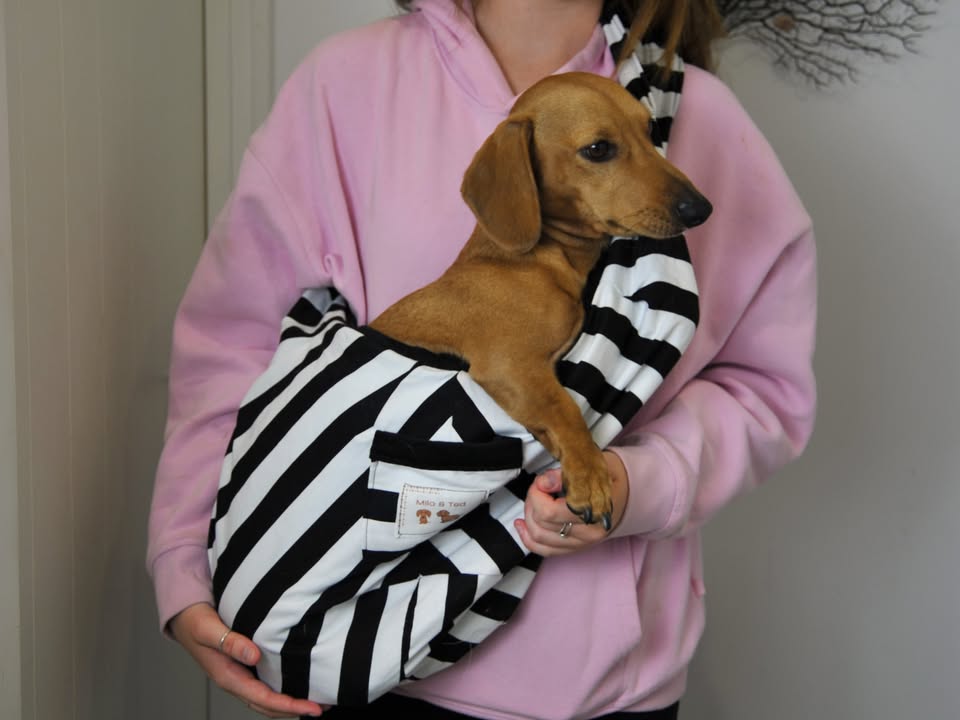 The Tediroo Sling - Pet carrier for dog, cat, rabbit, sling, bag, carry bag.