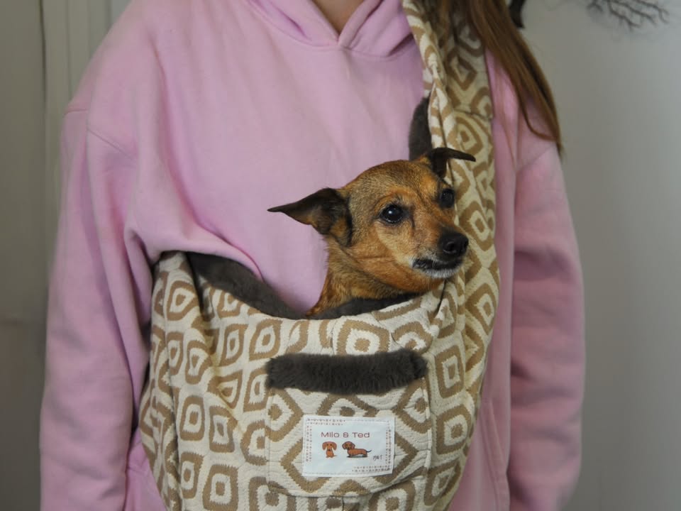 The Tediroo Sling - Pet carrier for dog, cat, rabbit, sling, bag, carry bag.