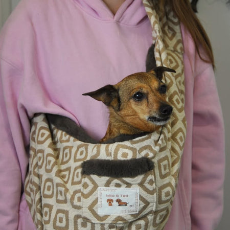 The Tediroo Sling - Pet carrier for dog, cat, rabbit, sling, bag, carry bag.