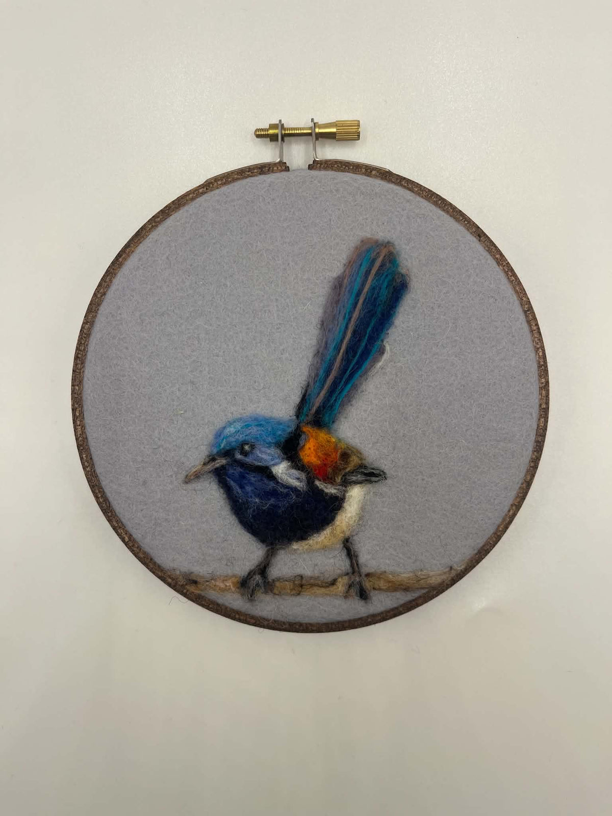 Felted Red-winged Fairywren portrait.