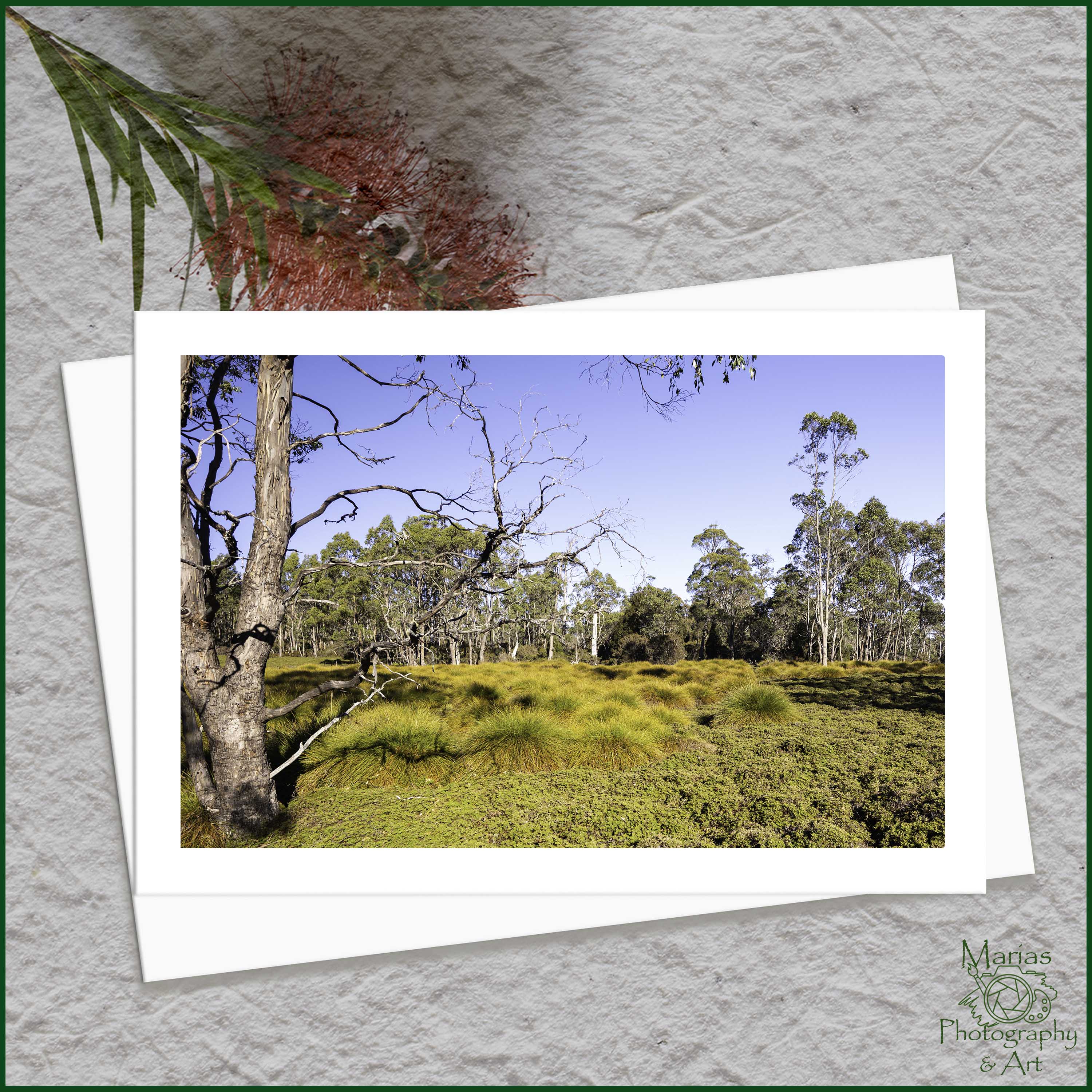 Blank Greeting Card - 'Wonders of Tasmania' series