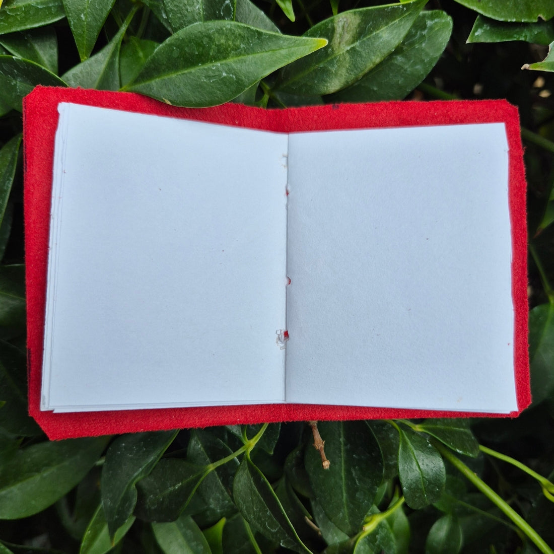 Red Leather 5 Signature Journal