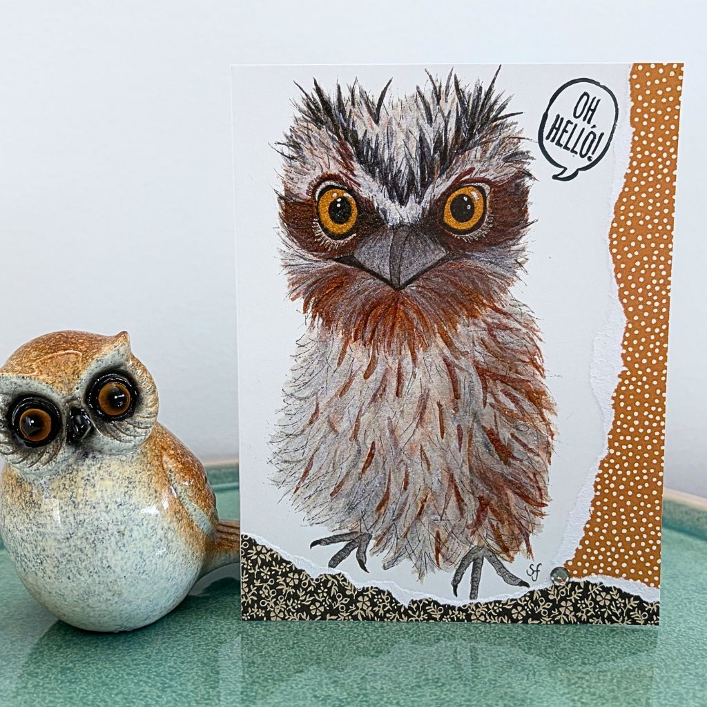 Tiggy tawny frogmouth "Oh, hello!" card