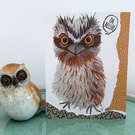 Tiggy tawny frogmouth 
