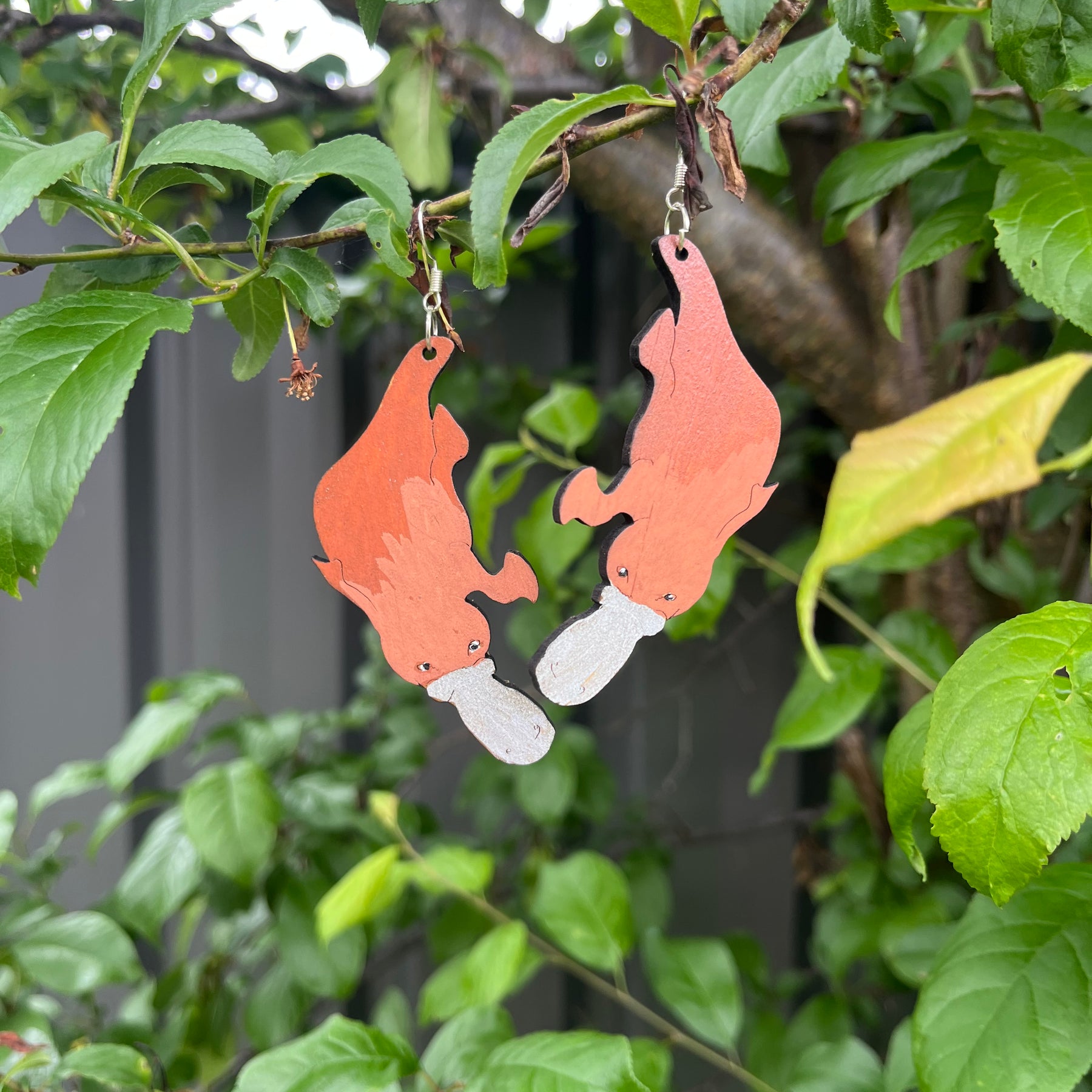 Platypus | Australian Native Animal | Earrings