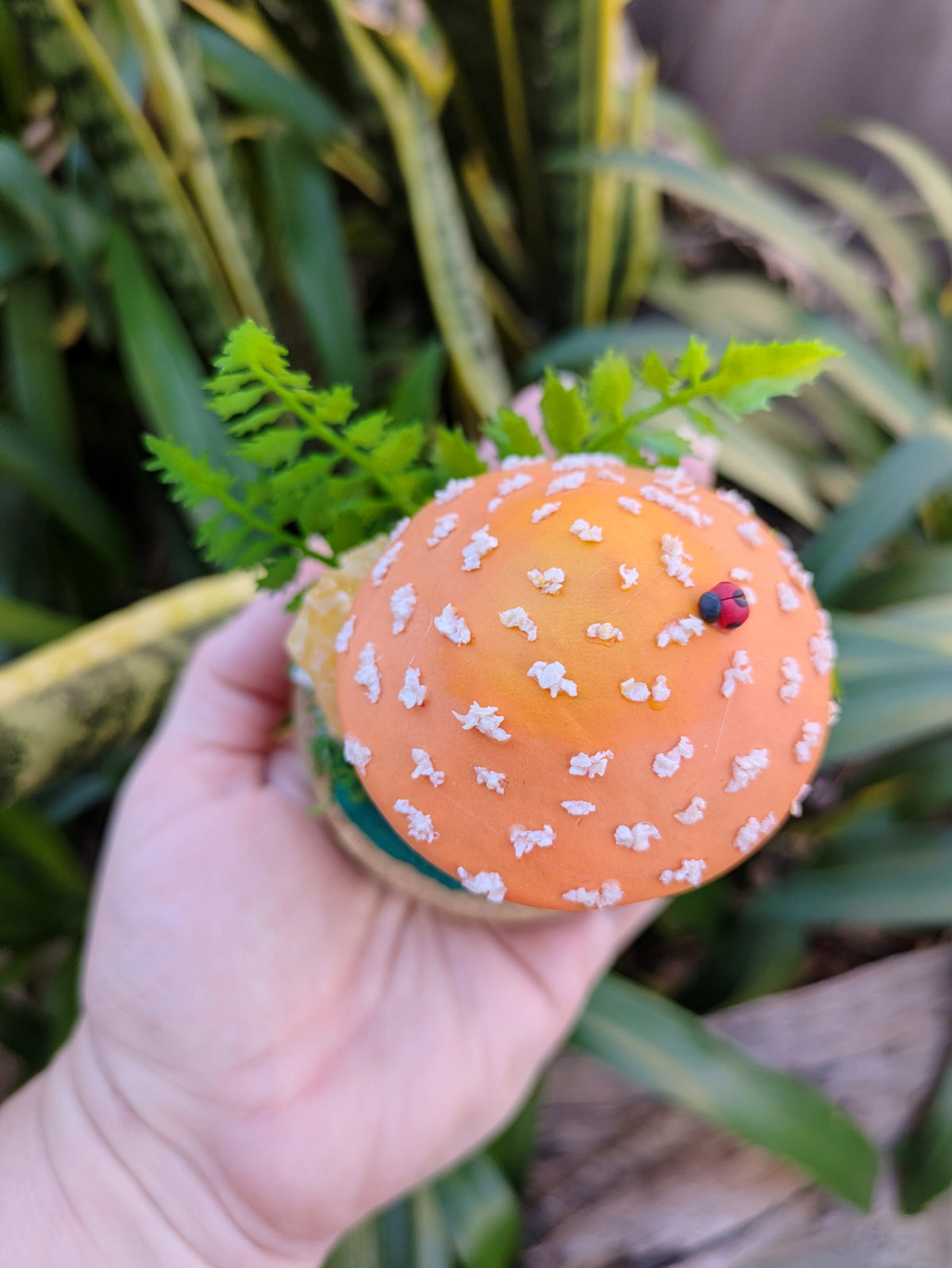 Enchanted Orange Mushroom & Honey Calcite Crystal Dome