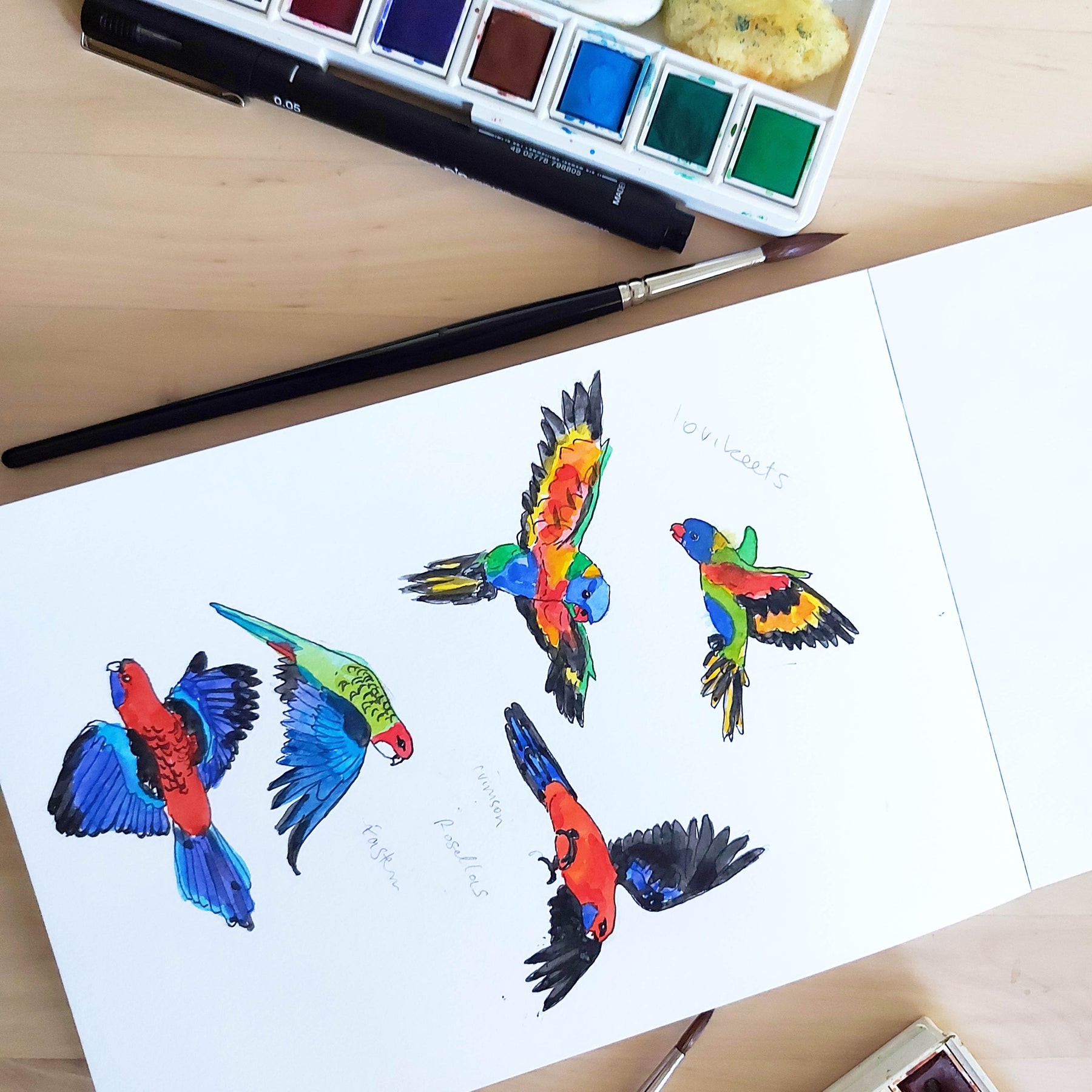 Organic cotton tee shirts for kids in unique hand illustrated designs - sizes 4-9