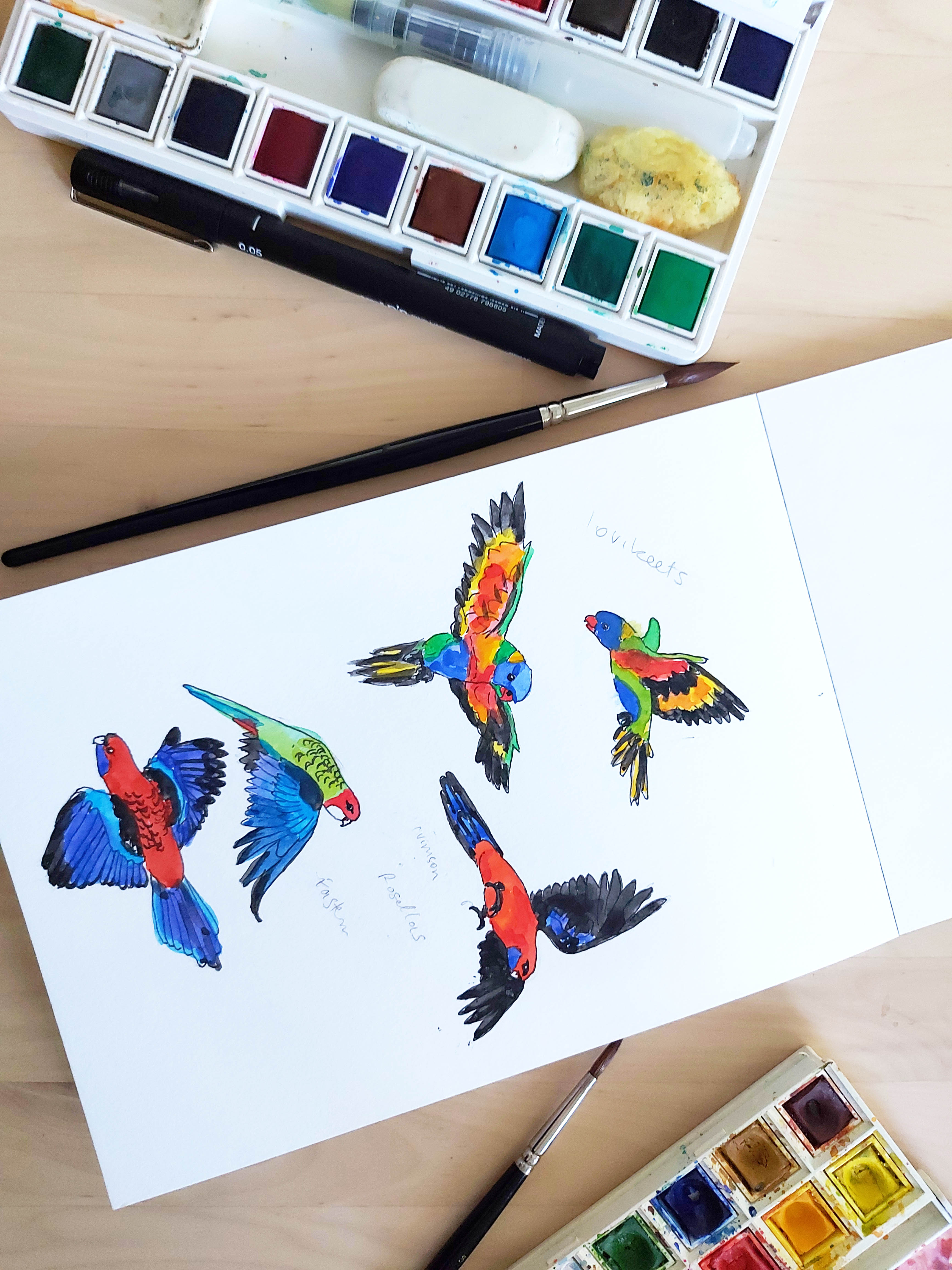 Organic cotton tee shirts for kids in unique hand illustrated designs - sizes 4-9
