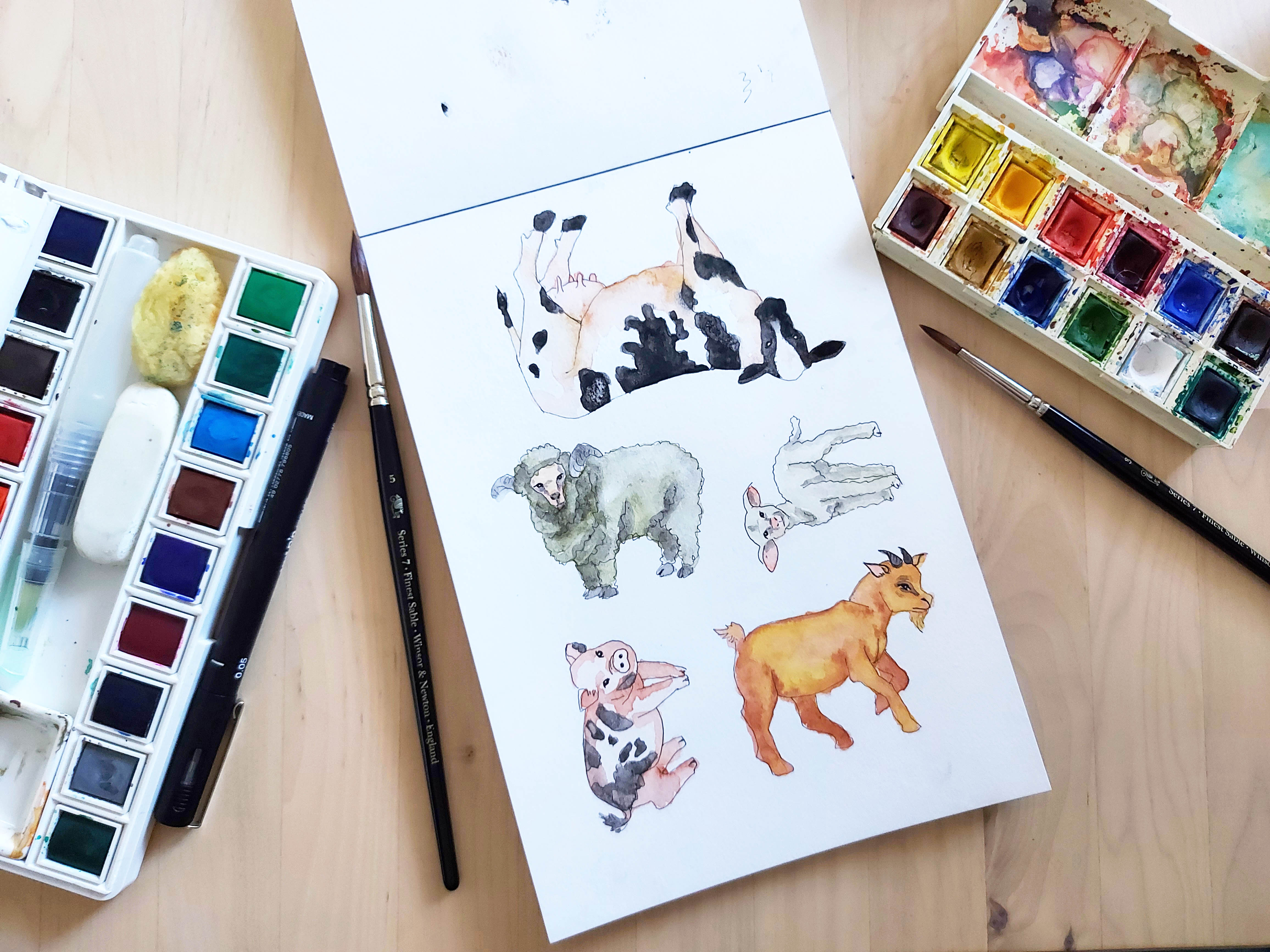 Organic cotton tee shirts for kids in unique hand illustrated designs - sizes 4-9