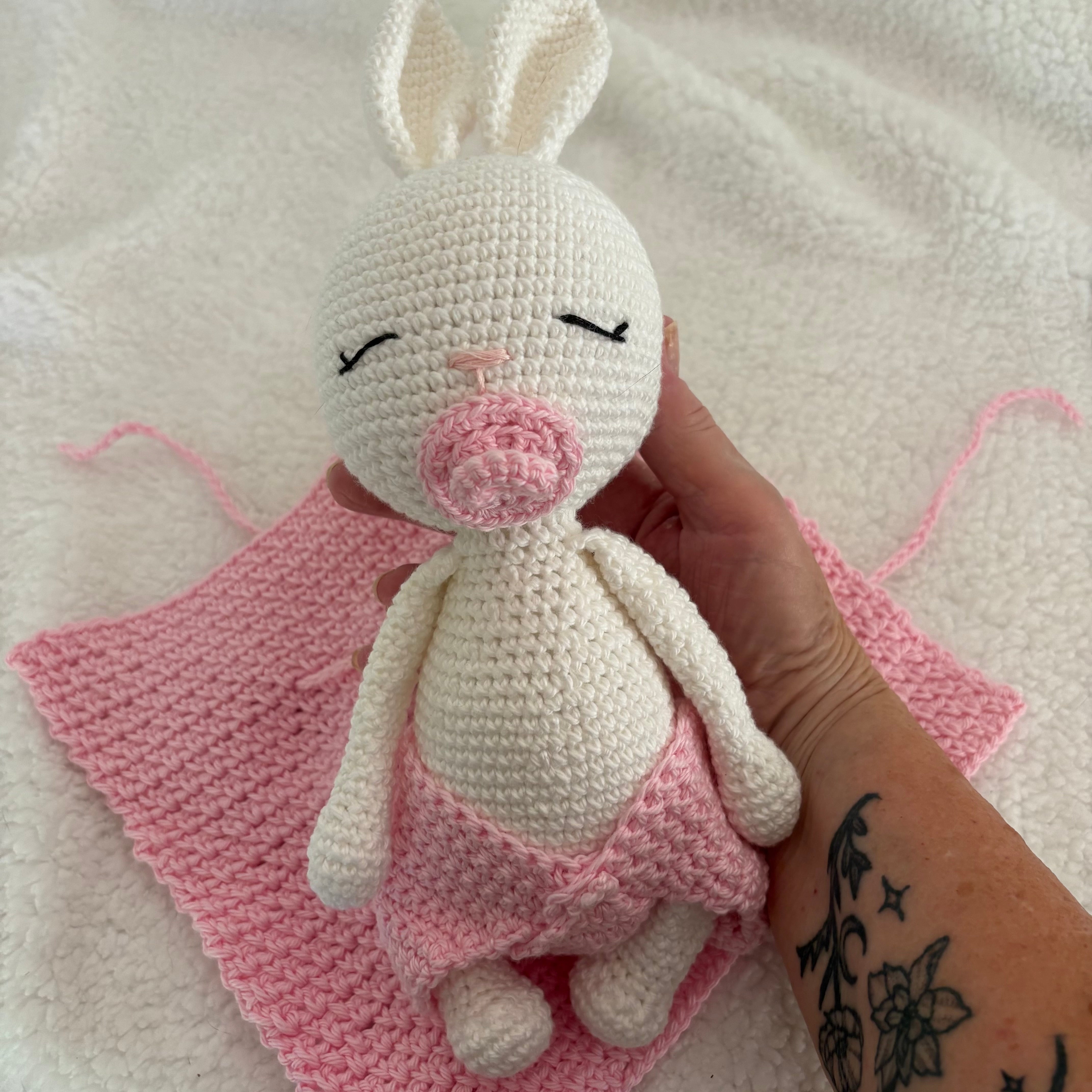 Baby bunny with dummy and blanket