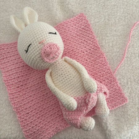 Baby bunny with dummy and blanket