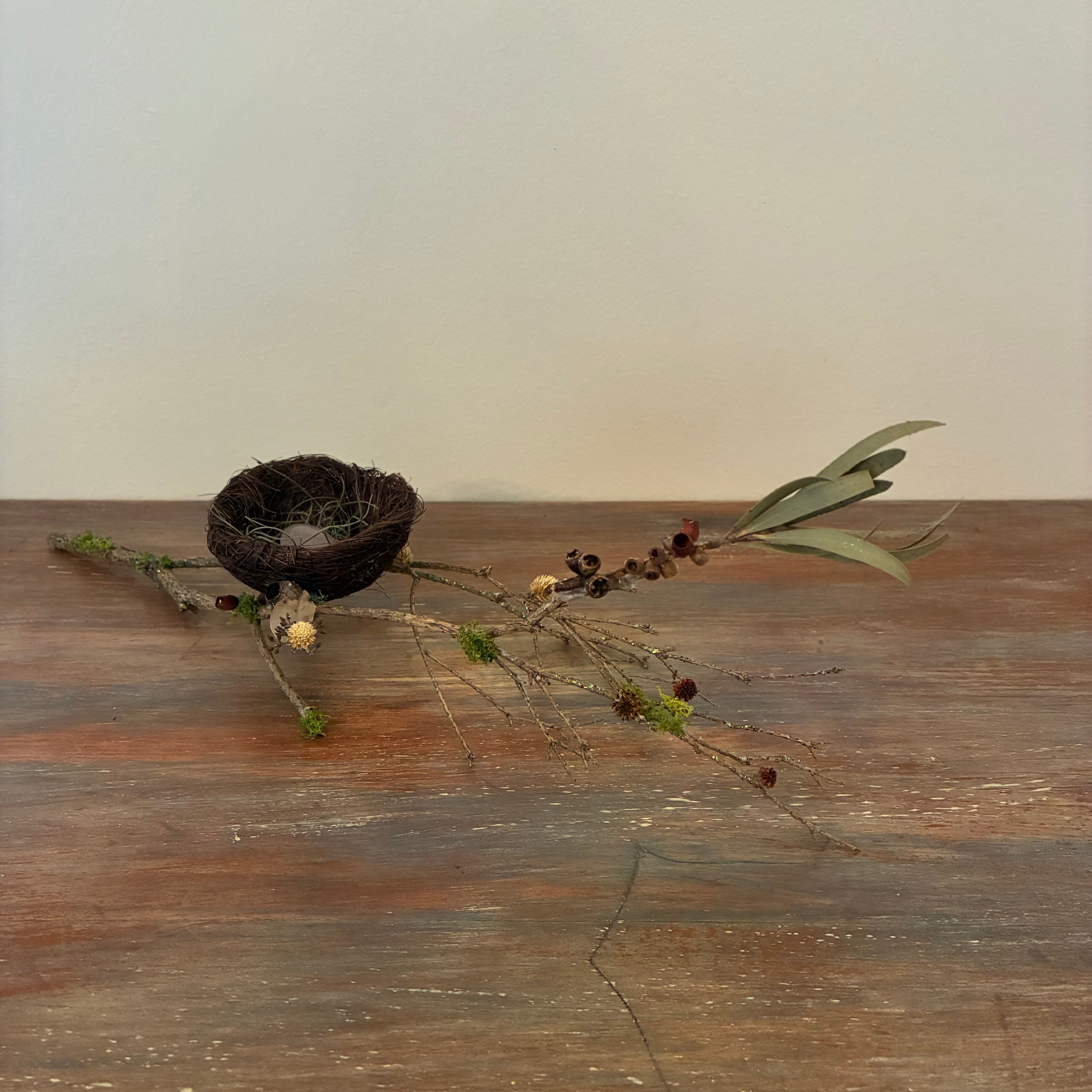 Beautified Birds Nest Sculpture