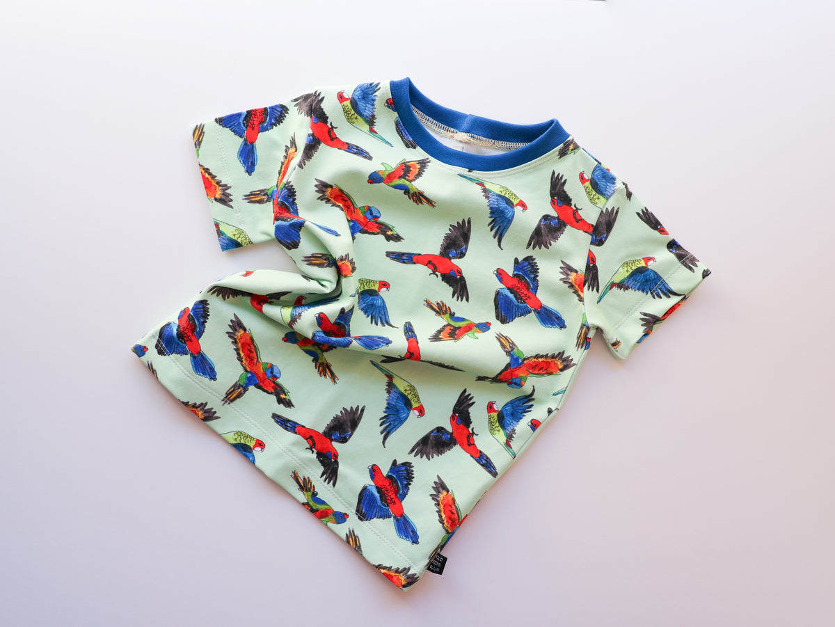 Rainbow birds organic cotton tee shirt 2026-27