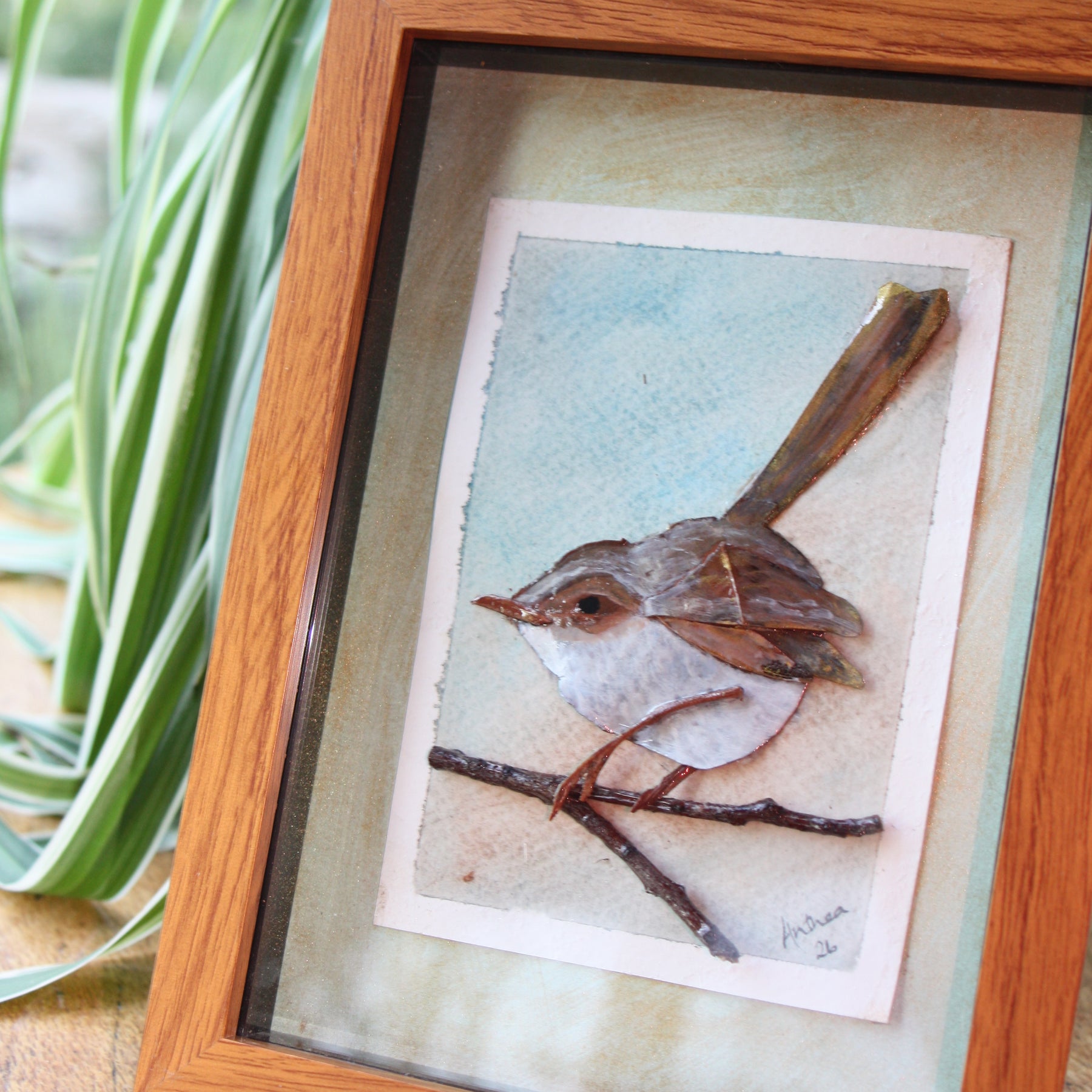 Female Fairy Wren Original Artwork