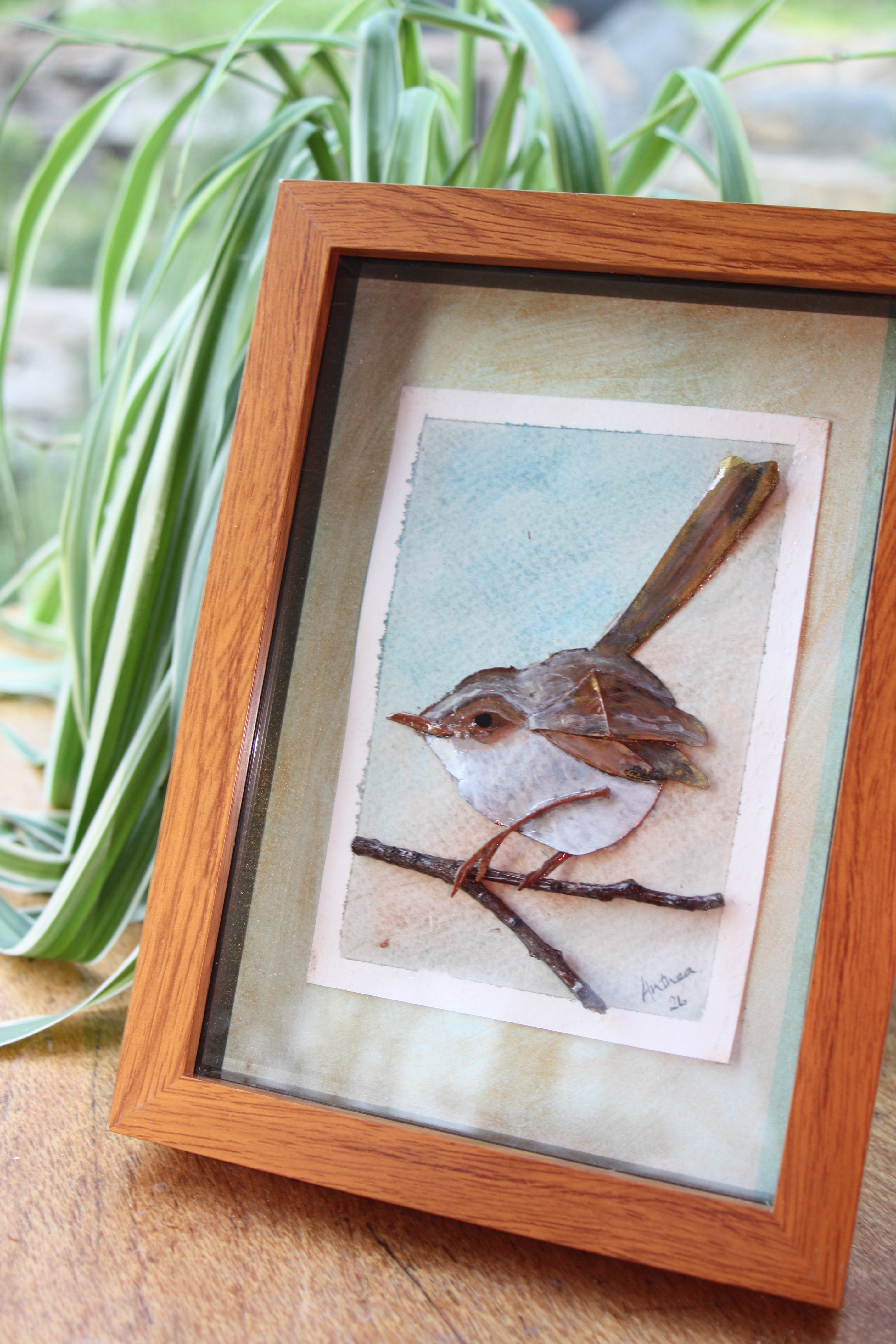 Female Fairy Wren Original Artwork