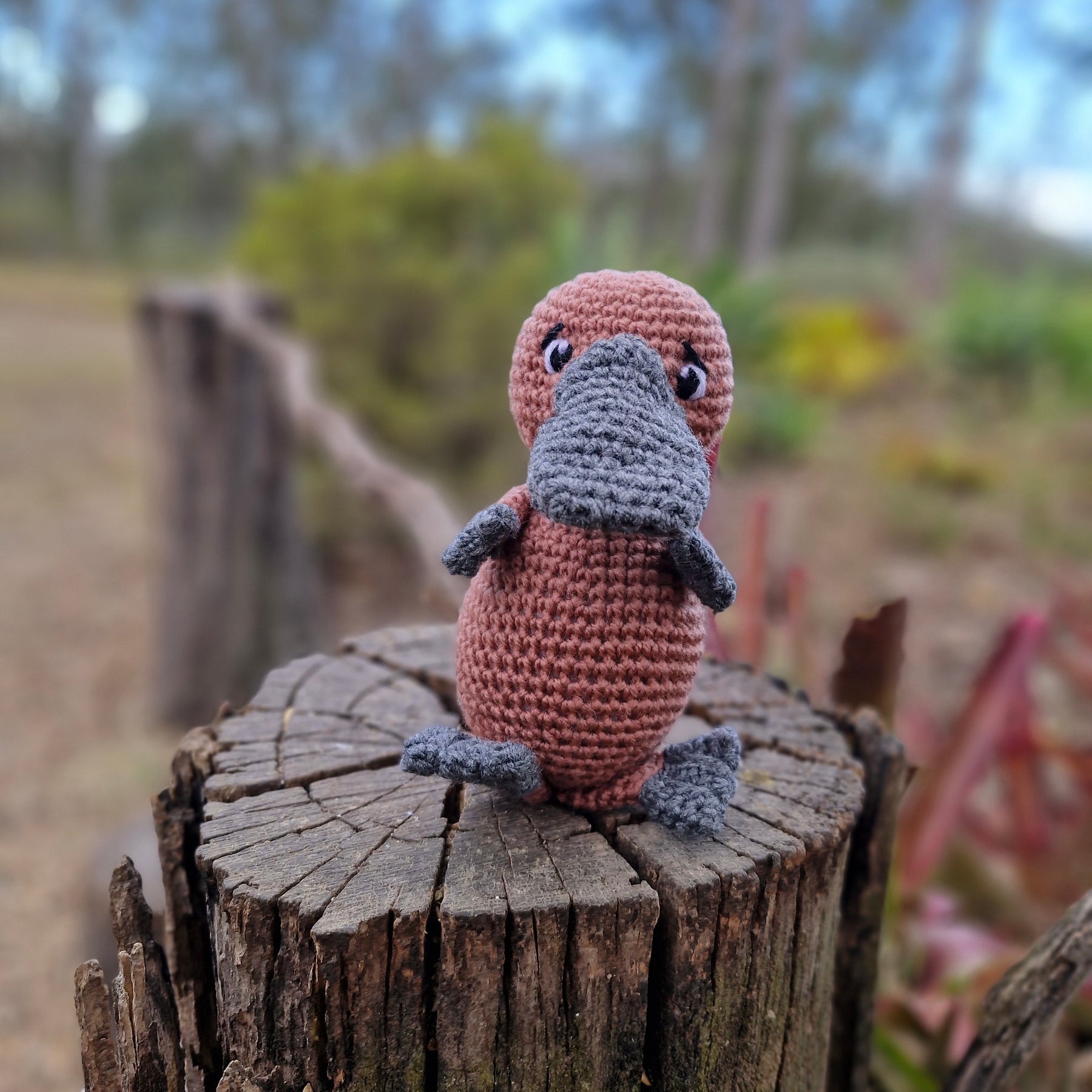 Adorable Baby Platypus Hand Crochet