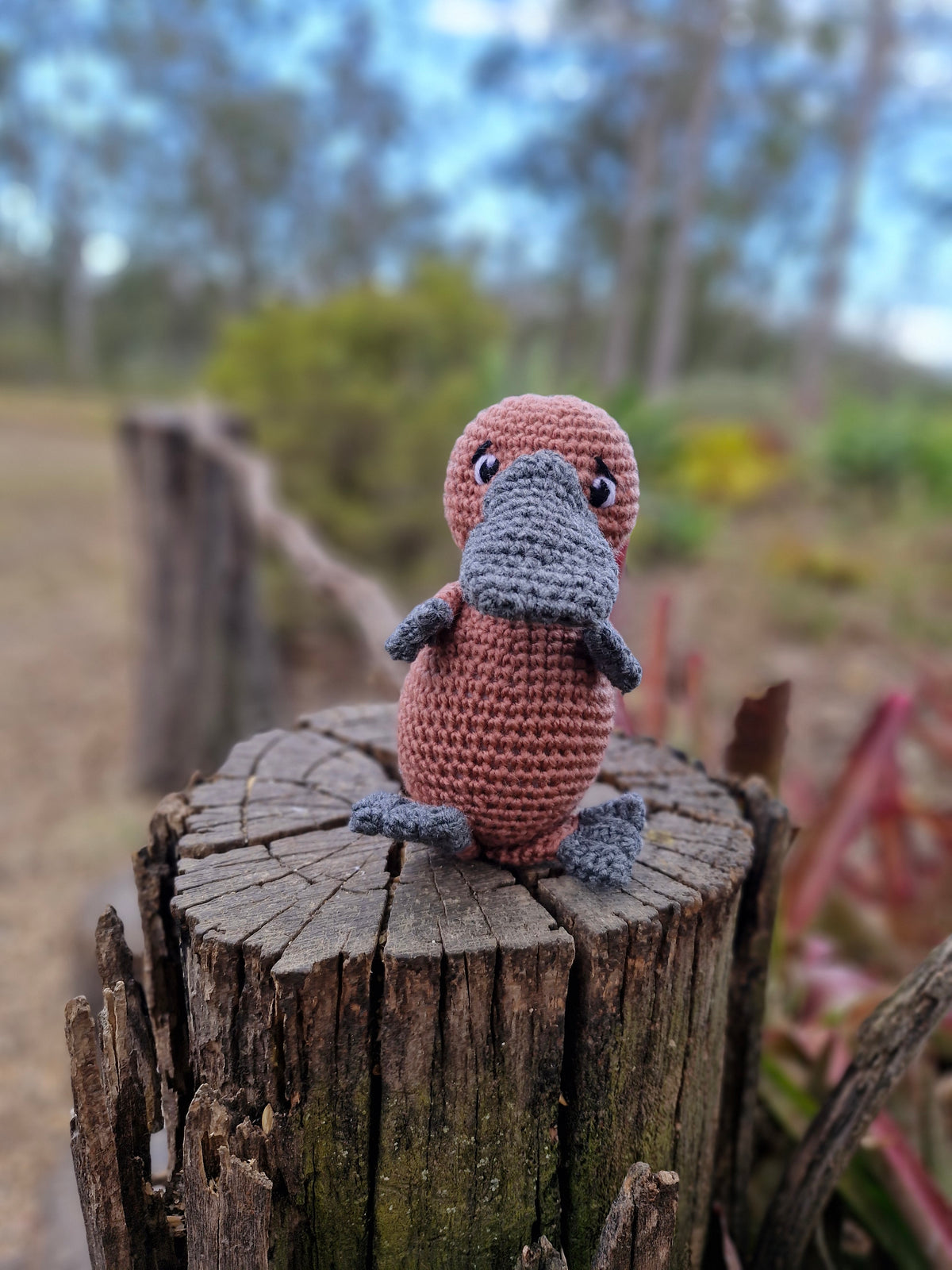 Adorable Baby Platypus Hand Crochet