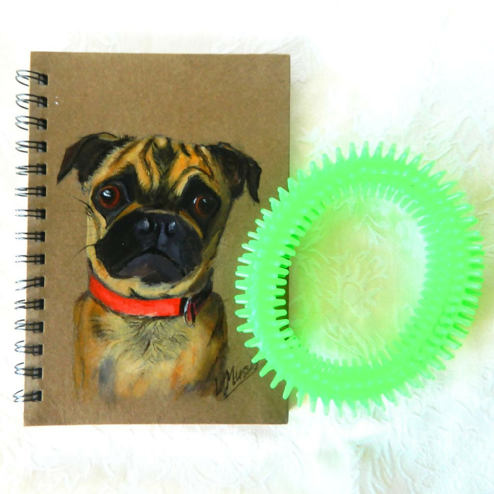 pug with green chew toy