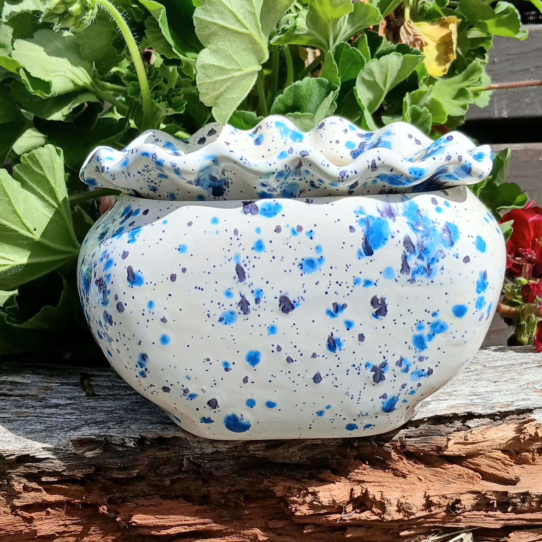 Ceramic African Violet Pot Self watering