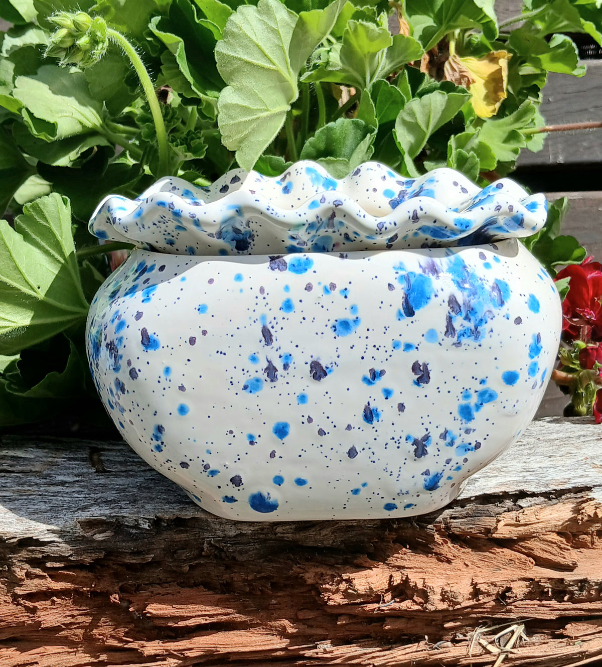 Ceramic African Violet Pot Self watering
